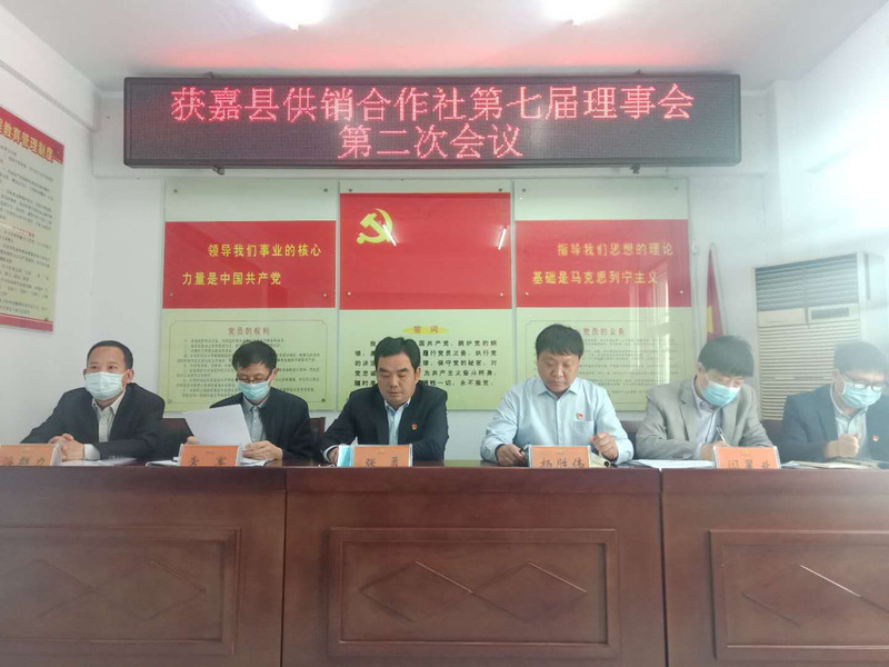 图片4
