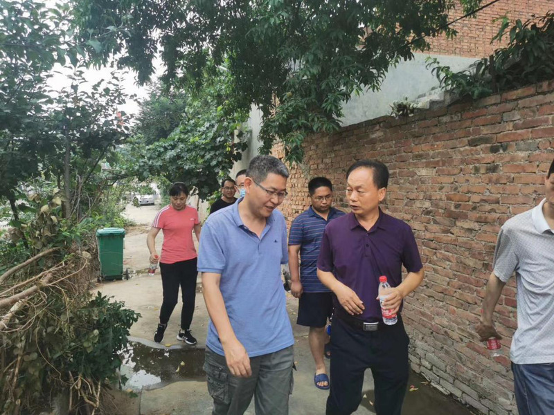 图片6