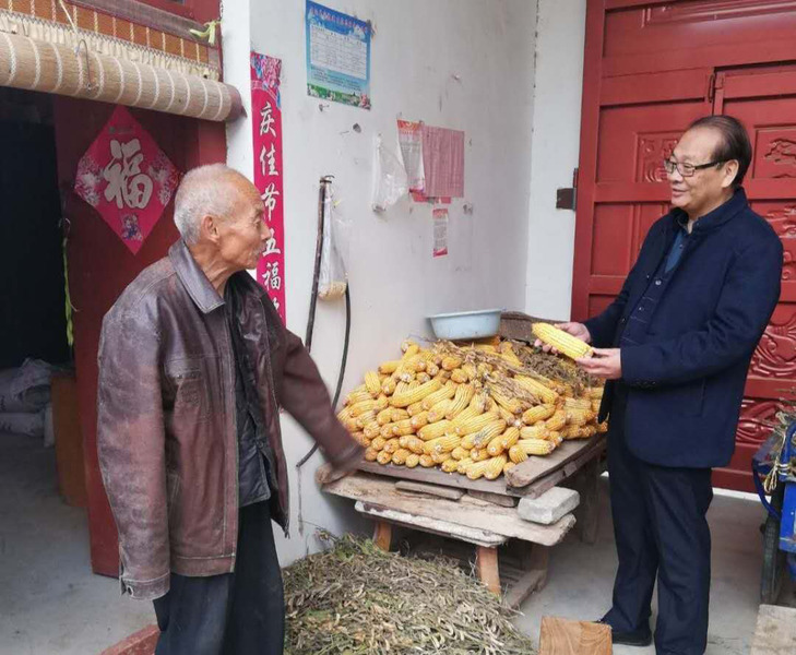 图片3