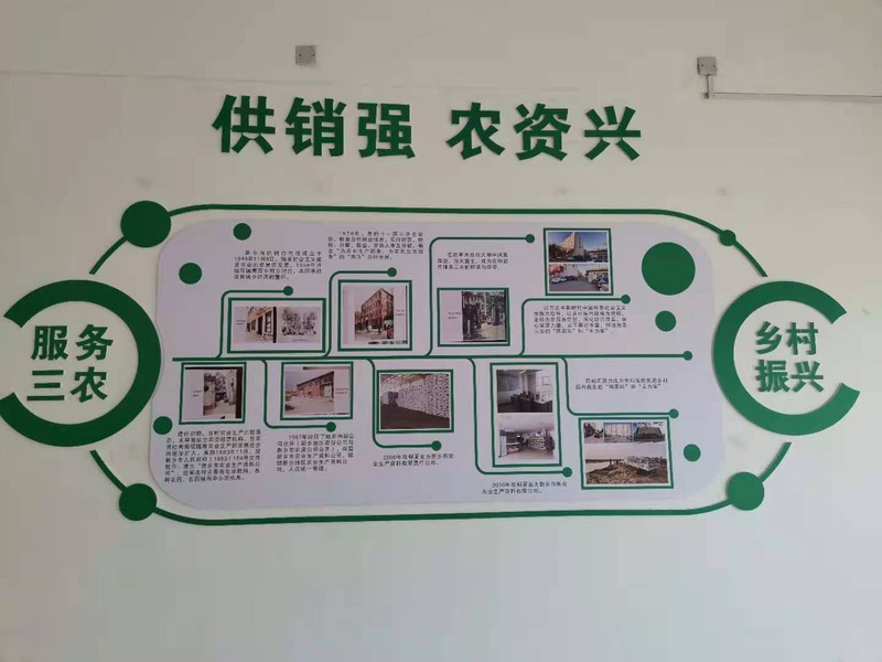 图片5