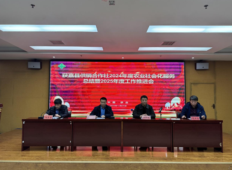 截图-2024年12月27日 14时50分46秒